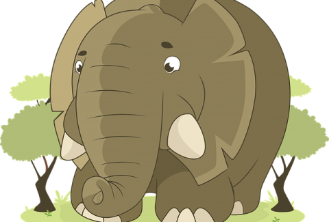 elephant-1598359_640